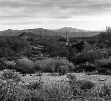 Way out West. by AlienVisitor
