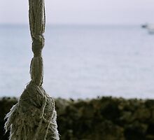 Humility by Melinda Hewitt