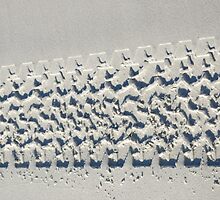 Tread Softer by Adrena87