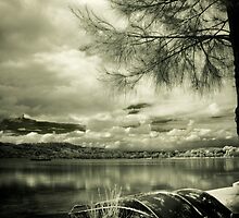 Just A Boat by Naomi Frost