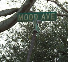 Street You Cross on the Way to Chain Gang Road by Ray1945