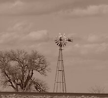 Old Windmill by David Tedrow