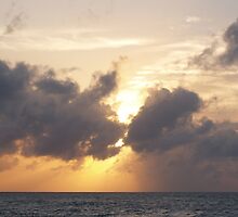 Into the light by Jonathan Dower