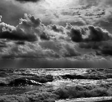 Breezy. Partly sunny. A slight chance of showers. Highs around 85. Northeast winds 15 to 20 mph. Chance of rain 20 percent. Surf temperature 83 degrees. by ELENA TARASSOVA