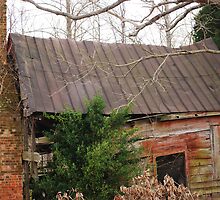 Wolftrap Slave Quarters by madman4