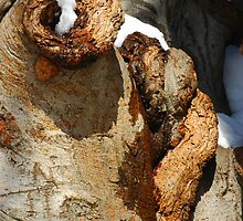 Scarred for Life by christiane