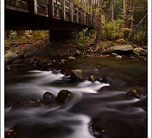 Bridge at the Confluence GSMNP by ThomasRBiggs