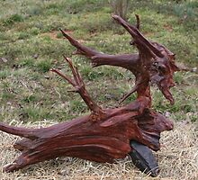 Unearthed by Courtney Faison