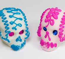 calaveritas mexicanas by Alejandro Durán Fuentes