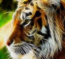 Watching by Shannon Beauford