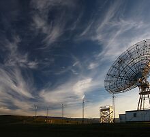 Stanford Dish by Christophe Testi