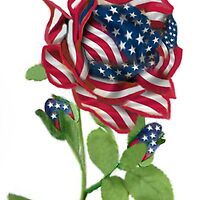 .♥➷♥•* Stars & Stripes Rose For 9-11 In Rememberance.♥➷♥•*¨ by ✿✿ Bonita ✿✿ ђєℓℓσ