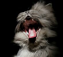 This is so boring! by JudyBJ