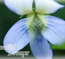 Beautiful Dreamer by Mistie McDonald