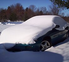 Reality in Michigan by iwonttell