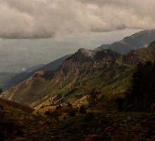 Horton Plains by Kylie Reid