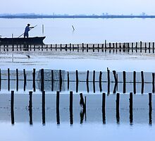 Fisherman of the lagoon by Hercules Milas