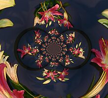 DIVERSE FACETS OF A WOMAN by Karo / Caroline Evans (Caux-Evans)