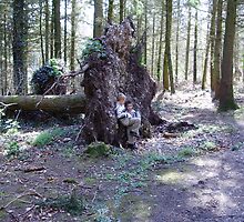 Tree Fellers by brucemlong