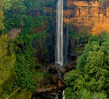 Fitzroy Falls by Warren. A. Williams