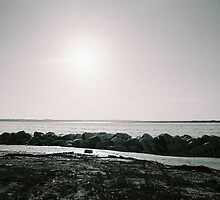 sandy hook by melissa cottrell
