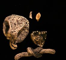 Micromanethiques by Pascale Baud