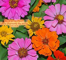 Be of good cheer: I have overcome the world . . . by Bonnie T. Barry