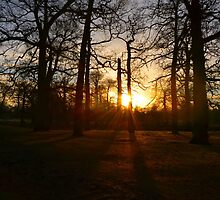 Releasing Your Sunrise.. by NaturesTouch