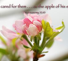 The apple of his eye . . . by Bonnie T. Barry