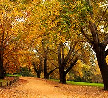 Bega during autumn by Darren Stones