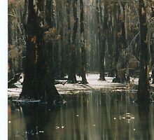 Lost world 2 by Tammy Serdiuk