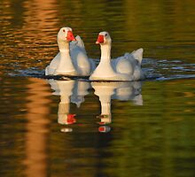 Together At Last by Andreas Mueller