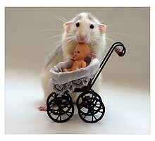 The Babysitter. by Ellen van Deelen