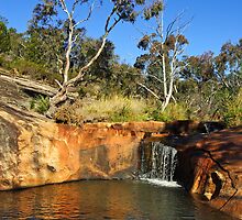 Spring Creek - Beechworth by Darren Stones
