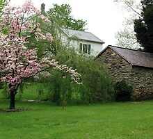Hobbit Staff Quarters-Country by LavenderMoon