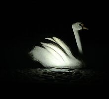stone swan by Riko2us