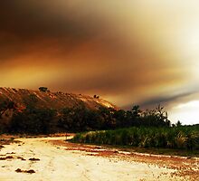 Australian Country A Blaze by Michael Humphrys