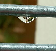 clarity by Jan Stead JEMproductions