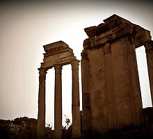 Temples of Vesta & Castor & Pollux, Rome, Italy by buttonpresser