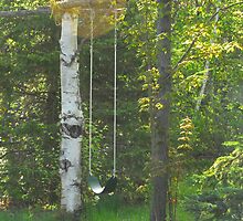 My "Thinkng Swing" :) by TerriRiver