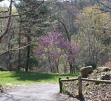 State Park Entrance by Joan1970