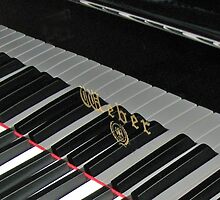 Grand Piano Reflections by BlueMoonRose
