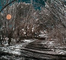 The twilight world of ever wandering by lightsmith