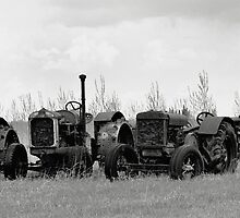 Retired Farmers by peaceofthenorth