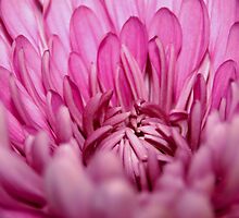 Internal Affair by Terri Waughtel