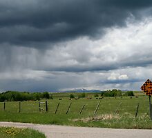 The Road Less Travelled by PrairieRose