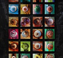 Ties that Bind by bclearphot
