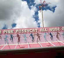 Club Pink Pussycat All Nude Revue by meadaura