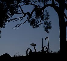 Retired in the Shade by Greg Halliday
