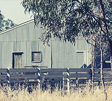 The Shearing Shed by Linda Lees